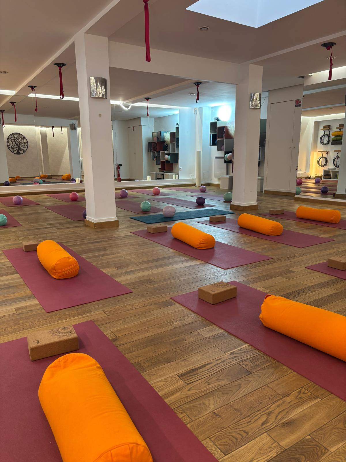 Vue d'ensemble de la salle du studio avec colonnes, hamacs de yoga aérien et tapis installés
